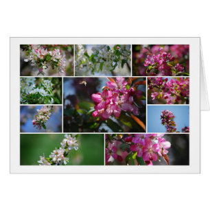 Pommes en fleurs et abeilles de miel