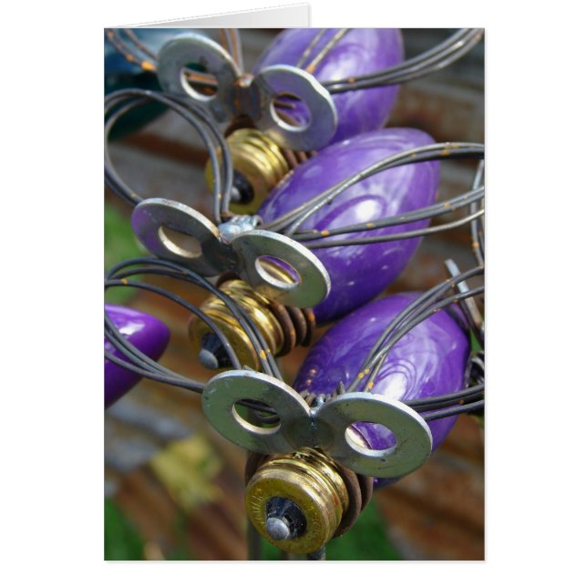 Pommes pourpres (Devant)