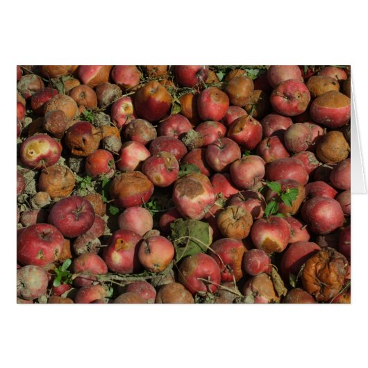 Pommes pourries (Devant horizontal)