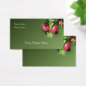 Pommes Red McIntosh Sur La Nature De L'Arbre (Bureau)