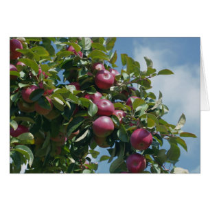 Pommes sur la carte de photographie de nature