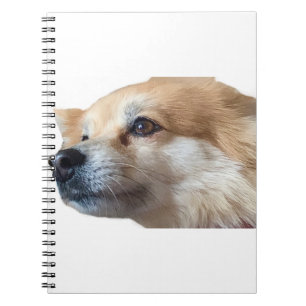 Pommie Pommie Pet Pommie Pommie Notitieboek