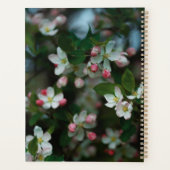 Pommier en fleurs (Dos)
