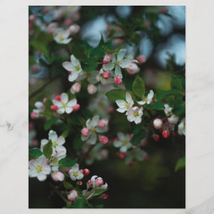 Pommier lunatique en fleurs Papier Scrapbook (clai