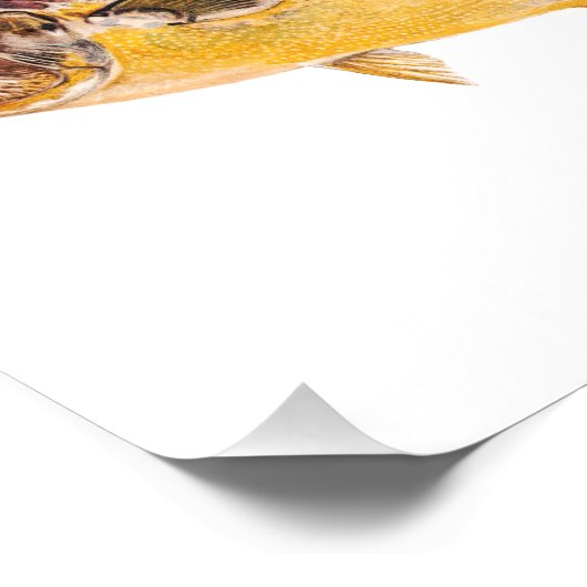 Pompano-vis - Spaarvisserij Sjabloon blanco Foto Afdruk (Hoek)