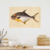 Pompano-vis - Spaarvisserij Sjabloon blanco Poster (Keuken)