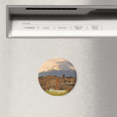 Pompeï magneet (Insitu (Vaatwasser))