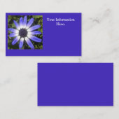 Pompeia Visitekaartje (Voorkant / Achterkant)