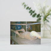 Pompeii, een van de bewoners die in de as gevangen briefkaart (Staand voorkant)