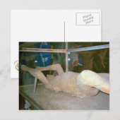 Pompeii, een van de bewoners die in de as gevangen briefkaart (Voorkant / Achterkant)