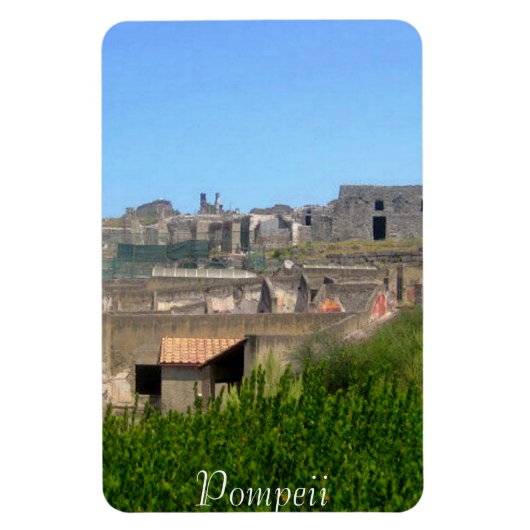 Pompeii Italië Magneet (Verticaal)
