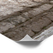 Pompeii, Roman gateway Poster (Hoek)