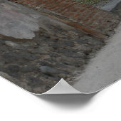 Pompeii-Vesuvius Poster (Hoek)