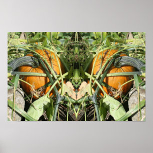 Pompoen Aan De Rank Herfst Spiegel Natuur Kunst Poster