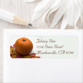 Pompoen & bladeren Label (Insitu)