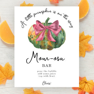 Pompoen boog baby shower Momosa bar Poster