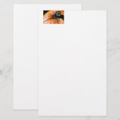 POMPOEN! BRIEFPAPIER (Voorkant / Achterkant)