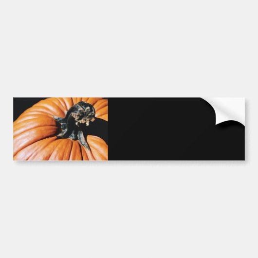pompoen bumpersticker (Voorkant)
