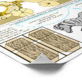 Pompoen Cream Coach Dankbaar Trouwtafel Kaart Poster (Hoek)