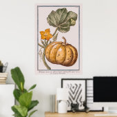  pompoen door Giorgio Bonelli Poster (Thuiskantoor)