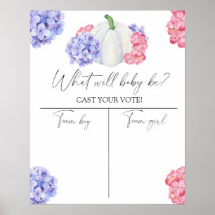 Pompoen Geslacht onthullen Boy of meisje grafiek Poster