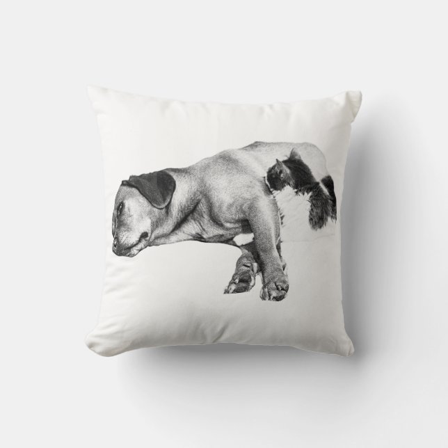 Pompoen gloed metgezellen kussen (Voorkant)