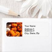 Pompoen halloween jack o lantaarn oranje pompoenen etiket (Insitu)