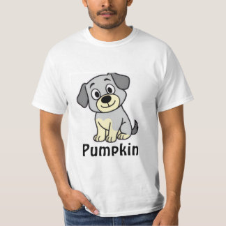 Pompoen Heren T-shirt
