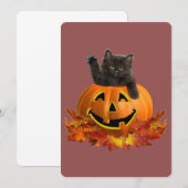 Pompoen Kitty (Voorkant / Achterkant)