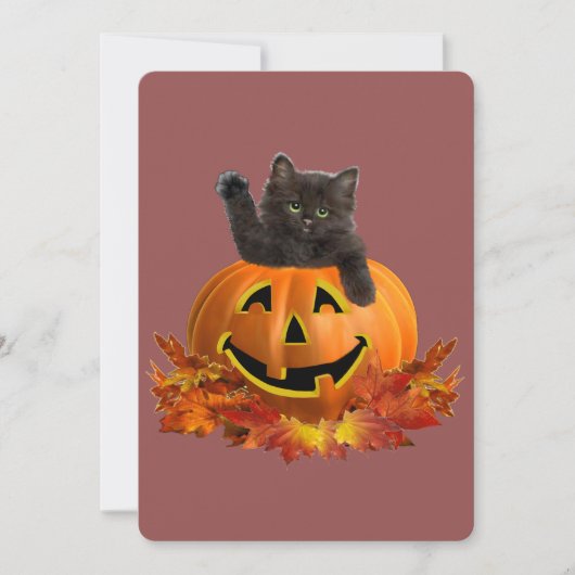 Pompoen Kitty (Voorkant)