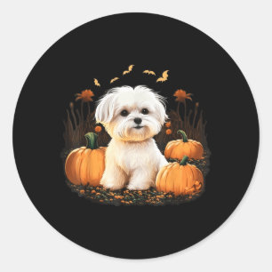 Pompoen Maltezer Hond Kostuum Op Maltezer Hond Ronde Sticker