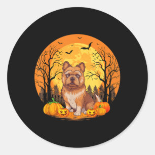 Pompoen Met Grappig Halloween Kostuum Brussel Ronde Sticker