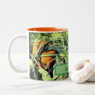 Pompoen op wijn Natuur op maat Tweekleurige Koffiemok