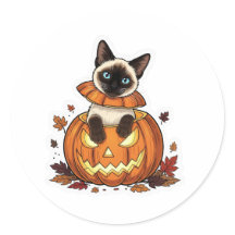 Pompoen Peek Siamese – Schattigee Halloween Siames