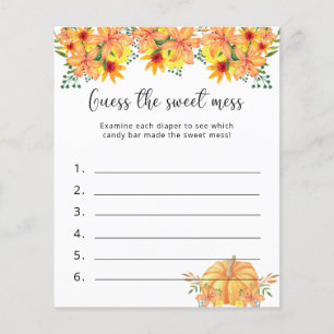 Pompoen - Raad de zoete puinhoop - Baby shower spe