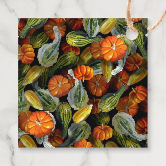 Pompoen, Squash Autumn Harvest Gift Label (Achterkant)