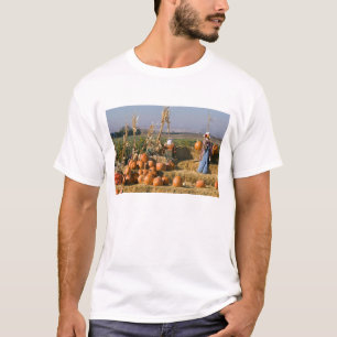 Pompoen tentoonstelling met hooibalen en vogelvers t-shirt