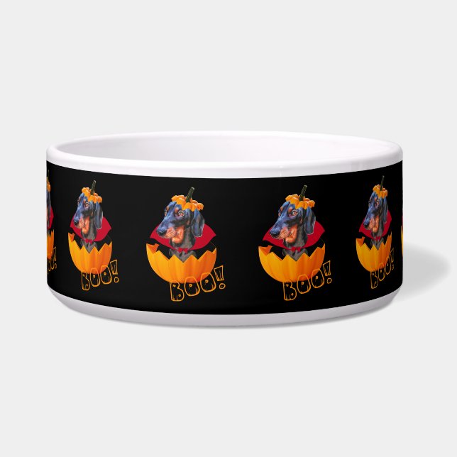 Pompoen van hondshond voerbakje (Voorkant)