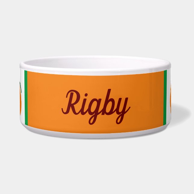 pompoen voerbakje (Voorkant)