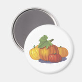 Pompoendecoratie Magneet (Voorkant / Achterkant)