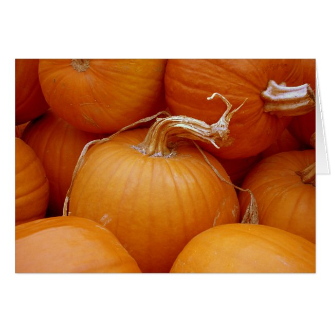 Pompoenen (Voorkant Horizontaal)
