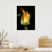 Pompoenen Blossoms Waarde Poster Papier (Keuken)