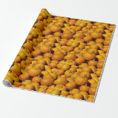 Pompoenen Cadeaupapier (Uitgerold)