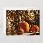 Pompoenen en corn briefkaart (Voorkant / Achterkant)