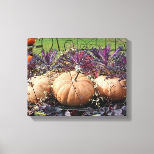 Pompoenen en Herfsten Planten Canvas Afdruk (Voorkant)