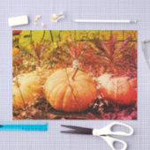 Pompoenen en Herfsten Planten  ontkoppeling Tissuepapier (Craft)