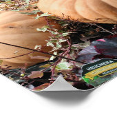 Pompoenen en Herfsten Planten Poster (Hoek)