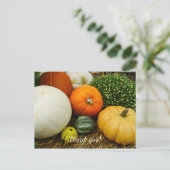 Pompoenen en kalebassen briefkaart (Staand voorkant)