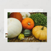 Pompoenen en kalebassen briefkaart (Voorkant / Achterkant)
