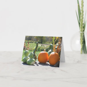 Pompoenen en kalebassen herfst natuur fotografie notitiekaartje